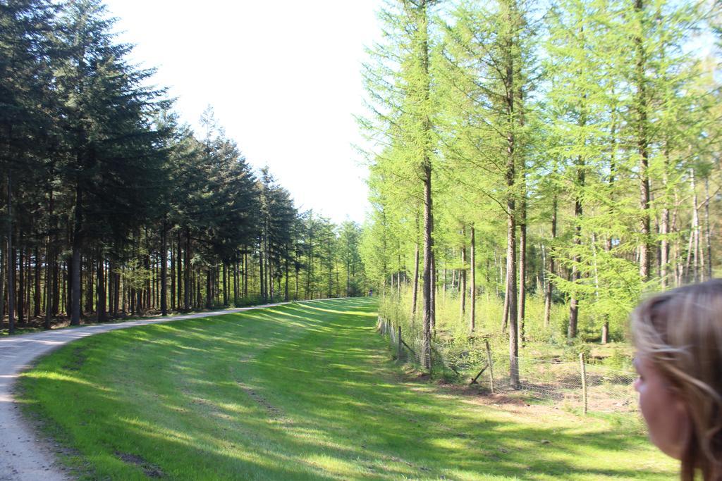 Landbrise Villa Petersfeld Luaran gambar